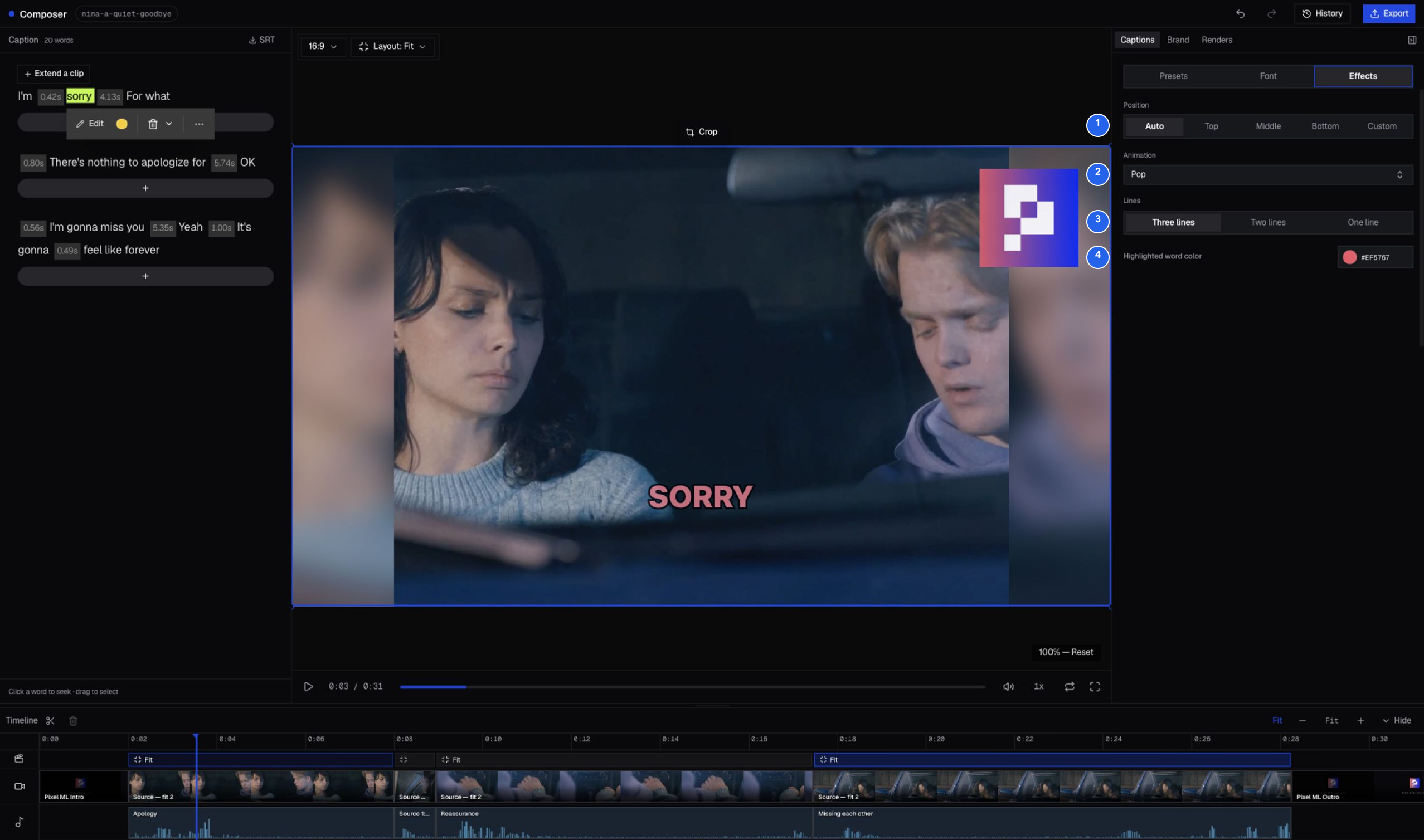 Caption Effects panel with four numbered groups